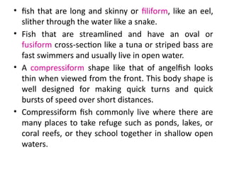 Comprehensive Introduction to Fisheries and Aquaculture: Species ...