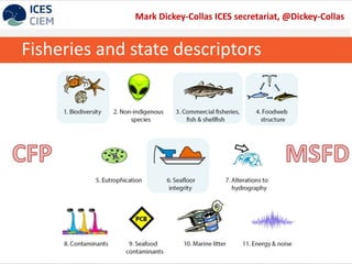 Fisheries and state descriptors
Mark Dickey-Collas ICES secretariat, @Dickey-Collas
 