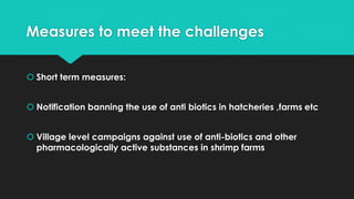 Measures to meet the challenges
 Short term measures:
 Notification banning the use of anti biotics in hatcheries ,farms etc
 Village level campaigns against use of anti-biotics and other
pharmacologically active substances in shrimp farms
 