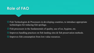Role of FAO
 Fish Technologists & Processors in developing countries, to introduce appropriate
technologies for reducing fish spoilage.
 Fish processors in the fundamentals of quality, use of ice, hygiene, etc.
 Improves handling practices on fish landing sites & fish preservation methods.
 Improves fish consumption from low-value resources.
 