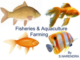 Fisheries & Aquaculture
Farming
By
S.NARENDRA
 