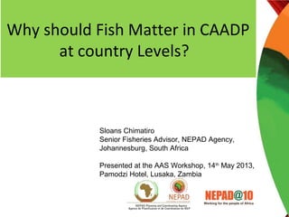 Why should Fish Matter in CAADP
at country Levels?
Sloans Chimatiro
Senior Fisheries Advisor, NEPAD Agency,
Johannesburg, South Africa
Presented at the AAS Workshop, 14th
May 2013,
Pamodzi Hotel, Lusaka, Zambia
 