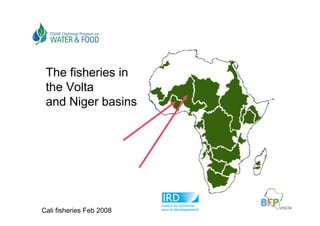 The fisheries in
 the Volta
 and Niger basins




Cali fisheries Feb 2008
 