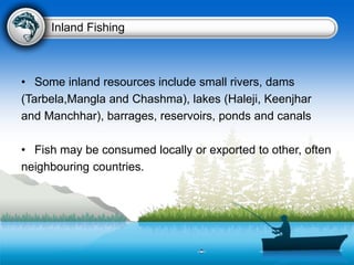 Inland Fishing
• Some inland resources include small rivers, dams
(Tarbela,Mangla and Chashma), lakes (Haleji, Keenjhar
and Manchhar), barrages, reservoirs, ponds and canals
• Fish may be consumed locally or exported to other, often
neighbouring countries.
 