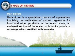 TYPES OF FISHING
Mari culture
Mariculture is a specialized branch of aquaculture
involving the cultivation of marine organisms for
food and other products in the open ocean, an
enclosed section of the ocean, or in tanks, ponds or
raceways which are filled with seawater.
 
