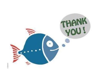 Fisheries in pakistan