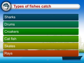 Types of fishes catch
Sharks
Drums
Croakers
Cat fish
Skates
Rays
 