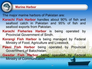 Marine Harbor
The major marine harbors of Pakistan are:
Karachi Fish Harbor handles about 90% of fish and
seafood catch in Pakistan and 95% of fish and
seafood exports from Pakistan.
Karachi Fisheries Harbor is being operated by
Provincial Government of Sindh.
Korangi Fish Harbor is being managed by Federal
Ministry of Food, Agriculture and Livestock.
Pasni Fish Harbor being operated by Provincial
Government of Balochistan.
Gwadar Fish Harbor being operated by Federal
Ministry of Communication.
 
