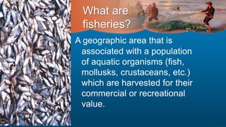 What are
fisheries?
A geographic area that is
associated with a population
of aquatic organisms (fish,
mollusks, crustaceans, etc.)
which are harvested for their
commercial or recreational
value.
 
