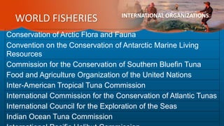 WORLD FISHERIES INTERNATIONAL ORGANIZATIONS
Conservation of Arctic Flora and Fauna
Convention on the Conservation of Antarctic Marine Living
Resources
Commission for the Conservation of Southern Bluefin Tuna
Food and Agriculture Organization of the United Nations
Inter-American Tropical Tuna Commission
International Commission for the Conservation of Atlantic Tunas
International Council for the Exploration of the Seas
Indian Ocean Tuna Commission
 