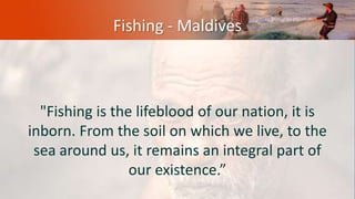 Fishing - Maldives
"Fishing is the lifeblood of our nation, it is
inborn. From the soil on which we live, to the
sea around us, it remains an integral part of
our existence.”
 