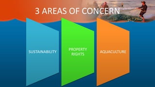 3 AREAS OF CONCERN
SUSTAINABILITY
PROPERTY
RIGHTS
AQUACULTURE
 
