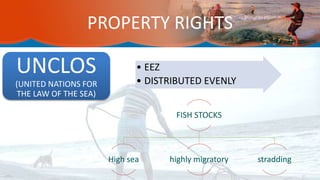 PROPERTY RIGHTS
• EEZ
• DISTRIBUTED EVENLY
UNCLOS
(UNITED NATIONS FOR
THE LAW OF THE SEA)
FISH STOCKS
High sea highly migratory stradding
 