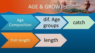 AGE & GROWTH
Age
Composition
dif. Age
groups
catch
Fish length length
 