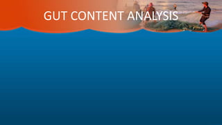 GUT CONTENT ANALYSIS
 