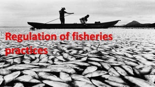 Regulation of fisheries
practices
 