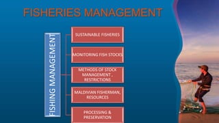FISHERIES MANAGEMENT
FISHINGMANAGEMENT
SUSTAINABLE FISHERIES
MONITORING FISH STOCKS
METHODS OF STOCK
MANAGEMENT ,
RESTRICTIONS
MALDIVIAN FISHERMAN,
RESOURCES
PROCESSING &
PRESERVATION
 