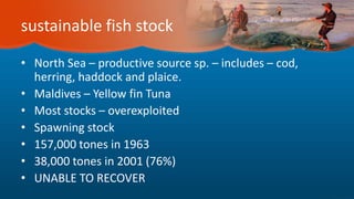 sustainable fish stock
• North Sea – productive source sp. – includes – cod,
herring, haddock and plaice.
• Maldives – Yellow fin Tuna
• Most stocks – overexploited
• Spawning stock
• 157,000 tones in 1963
• 38,000 tones in 2001 (76%)
• UNABLE TO RECOVER
 