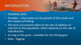 INFORMATION -
• FISHERIES DATA:
• Provides – information on the growth of fish stocks and
the impacts of fishing.
• The term recruitment refers to the rate of addition of
new fish to the population, which depends on the rate of
reproduction.
• As long as fish grow – available for the fishing gear.
• Data - Tagging
 