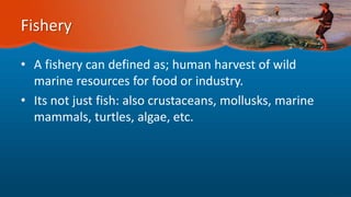 Fishery
• A fishery can defined as; human harvest of wild
marine resources for food or industry.
• Its not just fish: also crustaceans, mollusks, marine
mammals, turtles, algae, etc.
 