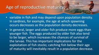Age of reproductive maturity:
• variable in fish and may depend upon population density.
In sardines, for example, the age at which spawning
occurs decreases as the population density decreases.
• In general, larger and older fish produce more eggs than
younger fish. The eggs produced by older fish also tend
to be larger, which increases the chances of survival of
the larvae. This has important implications for the
exploitation of fish stocks; catching fish below their age
of maturity will inevitably result in a population decrease.
 