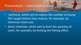 Prevention – overexploitation
• technical, which aim to reduce the number of young
fish caught before they mature, for example, by
minimum mesh size.
• direct methods, which aim to limit the quantity of
catch, for example, by limiting the fishing effort.
 