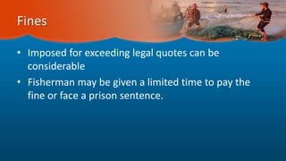 Fines
• Imposed for exceeding legal quotes can be
considerable
• Fisherman may be given a limited time to pay the
fine or face a prison sentence.
 