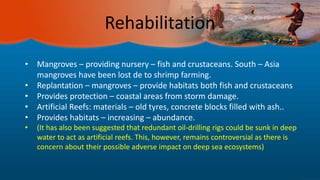 Rehabilitation
• Mangroves – providing nursery – fish and crustaceans. South – Asia
mangroves have been lost de to shrimp farming.
• Replantation – mangroves – provide habitats both fish and crustaceans
• Provides protection – coastal areas from storm damage.
• Artificial Reefs: materials – old tyres, concrete blocks filled with ash..
• Provides habitats – increasing – abundance.
• (It has also been suggested that redundant oil-drilling rigs could be sunk in deep
water to act as artificial reefs. This, however, remains controversial as there is
concern about their possible adverse impact on deep sea ecosystems)
 