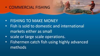 • COMMERCIAL FISHING
• FISHING TO MAKE MONEY
• Fish is sold to domestic and international
markets either as small
• scale or large scale operations.
• Fishermen catch fish using highly advanced
methods
 