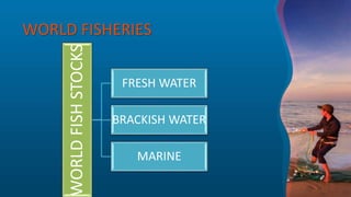 WORLD FISHERIES
WORLDFISHSTOCKS FRESH WATER
BRACKISH WATER
MARINE
 