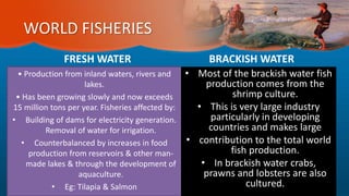 WORLD FISHERIES
FRESH WATER
• Production from inland waters, rivers and
lakes.
• Has been growing slowly and now exceeds
15 million tons per year. Fisheries affected by:
• Building of dams for electricity generation.
Removal of water for irrigation.
• Counterbalanced by increases in food
production from reservoirs & other man-
made lakes & through the development of
aquaculture.
• Eg: Tilapia & Salmon
BRACKISH WATER
• Most of the brackish water fish
production comes from the
shrimp culture.
• This is very large industry
particularly in developing
countries and makes large
• contribution to the total world
fish production.
• In brackish water crabs,
prawns and lobsters are also
cultured.
 