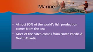 Marine
• Almost 90% of the world’s fish production
comes from the sea
• Most of the catch comes from North Pacific &
North Atlantic.
 