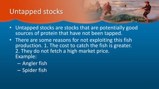 Untapped stocks
• Untapped stocks are stocks that are potentially good
sources of protein that have not been tapped.
• There are some reasons for not exploiting this fish
production. 1. The cost to catch the fish is greater.
2. They do not fetch a high market price.
Example:
– Angler fish
– Spider fish
 