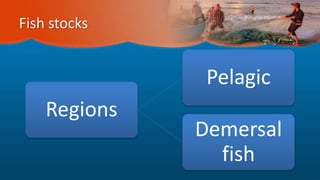 Fish stocks
Regions
Pelagic
Demersal
fish
 