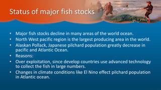 Status of major fish stocks
• Major fish stocks decline in many areas of the world ocean.
• North West pacific region is the largest producing area in the world.
• Alaskan Pollack, Japanese pilchard population greatly decrease in
pacific and Atlantic Ocean.
• Reasons:
• Over exploitation, since develop countries use advanced technology
to collect the fish in large numbers.
• Changes in climate conditions like El Nino effect pilchard population
in Atlantic ocean.
 
