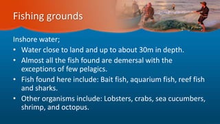 Fishing grounds
Inshore water;
• Water close to land and up to about 30m in depth.
• Almost all the fish found are demersal with the
exceptions of few pelagics.
• Fish found here include: Bait fish, aquarium fish, reef fish
and sharks.
• Other organisms include: Lobsters, crabs, sea cucumbers,
shrimp, and octopus.
 
