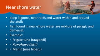 Near shore water
• deep lagoons, near reefs and water within and around
the atolls
• Fish found in near-shore water are mixture of pelagic and
demersal.
• Example:
• ▫ Frigate tuna (raagondi)
• ▫ Kawakawa (latti)
• ▫ Marlin (mas hibaru)
 