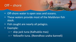 Off – shore
• Off-shore water is open seas and oceans.
• These waters provide most of the Maldivian fish
stock.
• Fish caught are nearly all pelagics.
• Example:
– ▫ skip jack tuna (Kalhubila mas)
– ▫ Yellowfin tuna. (Reendhoo uraha kanneli)
 