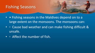 Fishing Seasons
• • Fishing seasons in the Maldives depend on to a
large extent on the monsoons. The monsoons can:
• ▫ Cause bad weather and can make fishing difficult &
unsafe.
• ▫ Affect the number of fish.
 
