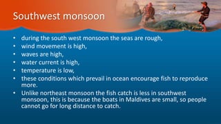 Southwest monsoon
• during the south west monsoon the seas are rough,
• wind movement is high,
• waves are high,
• water current is high,
• temperature is low,
• these conditions which prevail in ocean encourage fish to reproduce
more.
• Unlike northeast monsoon the fish catch is less in southwest
monsoon, this is because the boats in Maldives are small, so people
cannot go for long distance to catch.
 