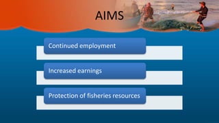 Fisheries management (Intermediate Marine Science)
