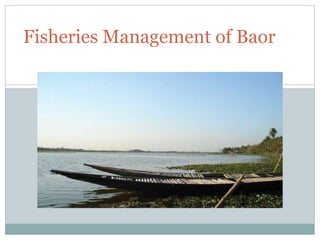 Fisheries Management of Baor
 