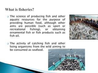  Fish and fisheries are an integral part of most societies and
make important contributions to economic and social health...