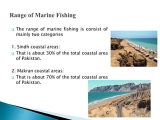 The main fishing centers are:
 Reservoirs of Mangla and Tarbela dam
 River Indus at sukkur, kotri and Thatta
 Haleji la...