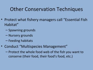Other Conservation Techniques
• Protect what fishery managers call “Essential Fish
Habitat”
– Spawning grounds
– Nursery grounds
– Feeding habitats

• Conduct “Multispecies Management”
– Protect the whole food web of the fish you want to
conserve (their food, their food’s food, etc.)

 