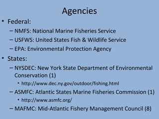Agencies
• Federal:
– NMFS: National Marine Fisheries Service
– USFWS: United States Fish & Wildlife Service
– EPA: Environmental Protection Agency

• States:
– NYSDEC: New York State Department of Environmental
Conservation (1)
• http://www.dec.ny.gov/outdoor/fishing.html

– ASMFC: Atlantic States Marine Fisheries Commission (1)
• http://www.asmfc.org/

– MAFMC: Mid-Atlantic Fishery Management Council (8)

 