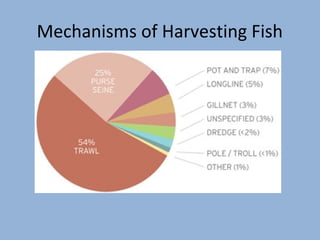 Mechanisms of Harvesting Fish

 