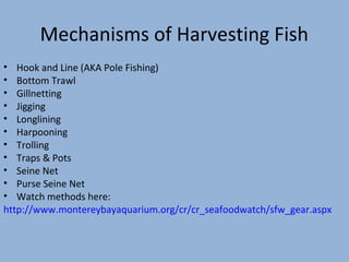 Mechanisms of Harvesting Fish
• Hook and Line (AKA Pole Fishing)
• Bottom Trawl
• Gillnetting
• Jigging
• Longlining
• Harpooning
• Trolling
• Traps & Pots
• Seine Net
• Purse Seine Net
• Watch methods here:
http://www.montereybayaquarium.org/cr/cr_seafoodwatch/sfw_gear.aspx

 
