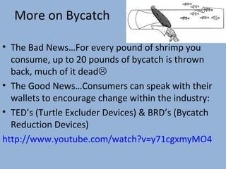 More on Bycatch
• The Bad News…For every pound of shrimp you
consume, up to 20 pounds of bycatch is thrown
back, much of it dead
• The Good News…Consumers can speak with their
wallets to encourage change within the industry:
• TED’s (Turtle Excluder Devices) & BRD’s (Bycatch
Reduction Devices)
http://www.youtube.com/watch?v=y71cgxmyMO4

 