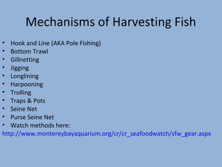 Fisheries notes